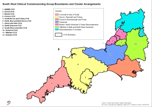 CCGs and 'Cluster' PCTs in the south west